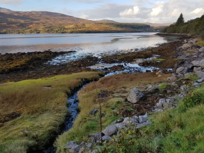 Loch Sunart shoreline on the West Highland Peninsulas