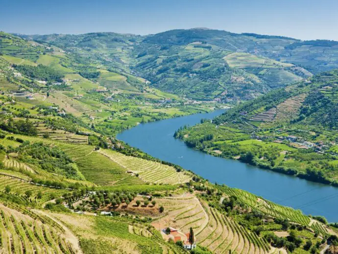 Douro Valley in Portugal