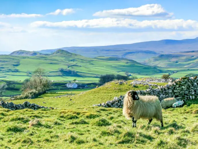 Yorkshire countryside