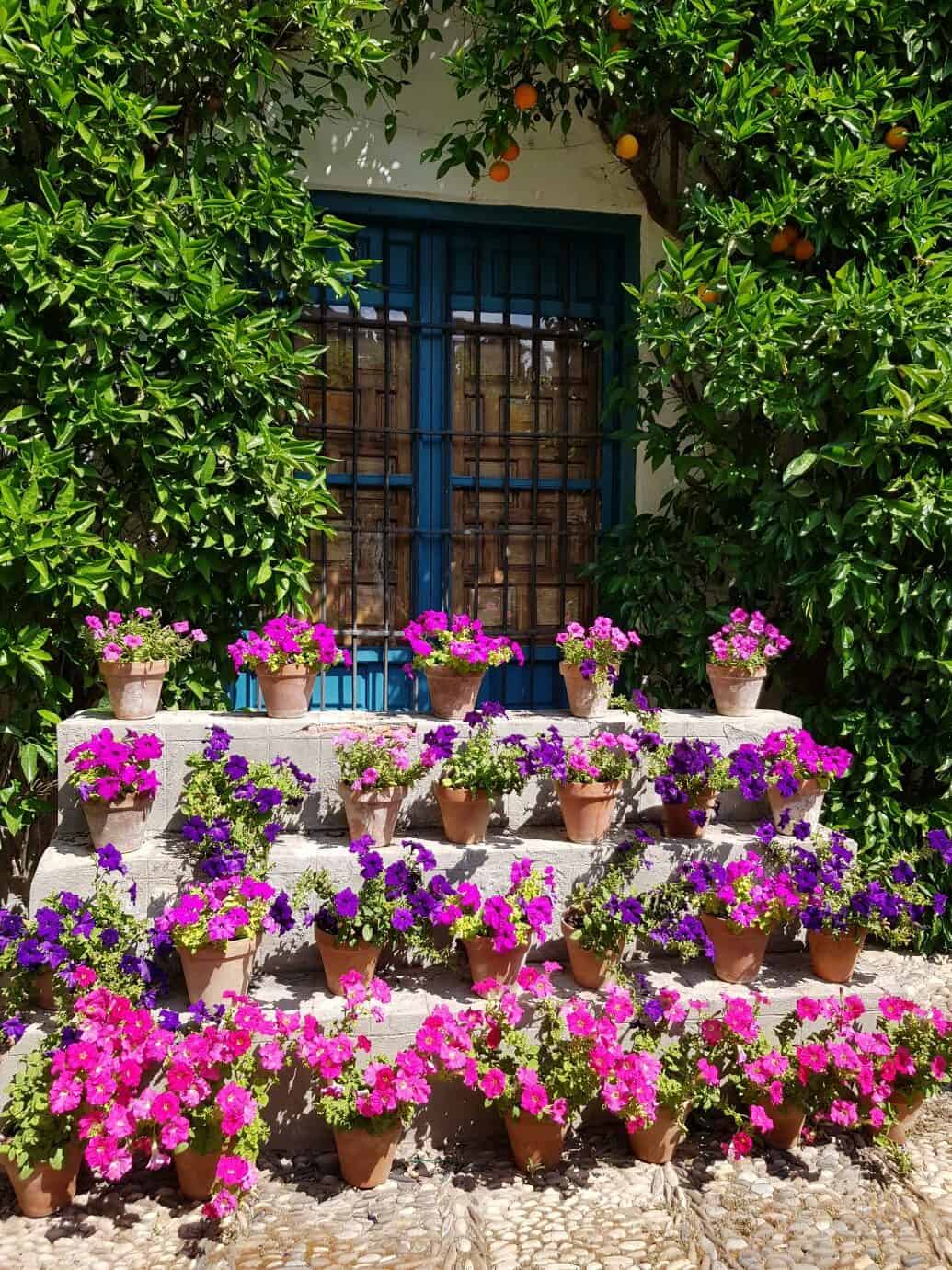 Cordoba Patios Festival - A patio at the Palacio de Viana