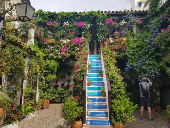 Cordoba Patios Festival - the stairs at 44 San Basilio