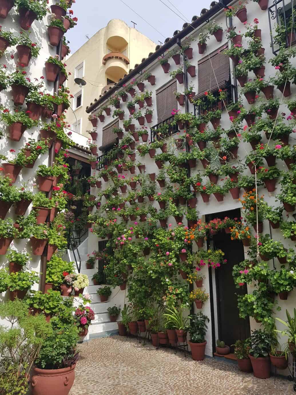 Cordoba Patios Festival - the courtyard at 9 Martin de Roa