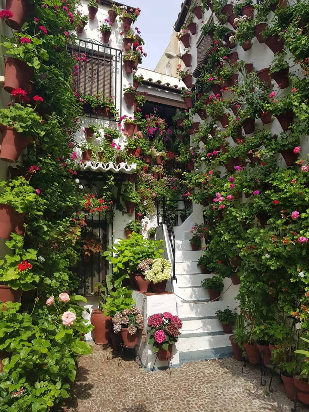 Cordoba Patios Festival - the courtyard at 2 Martin de Roa