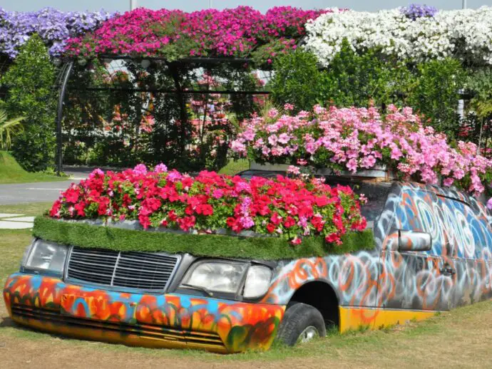 Flower car in Dubai Miracle Garden