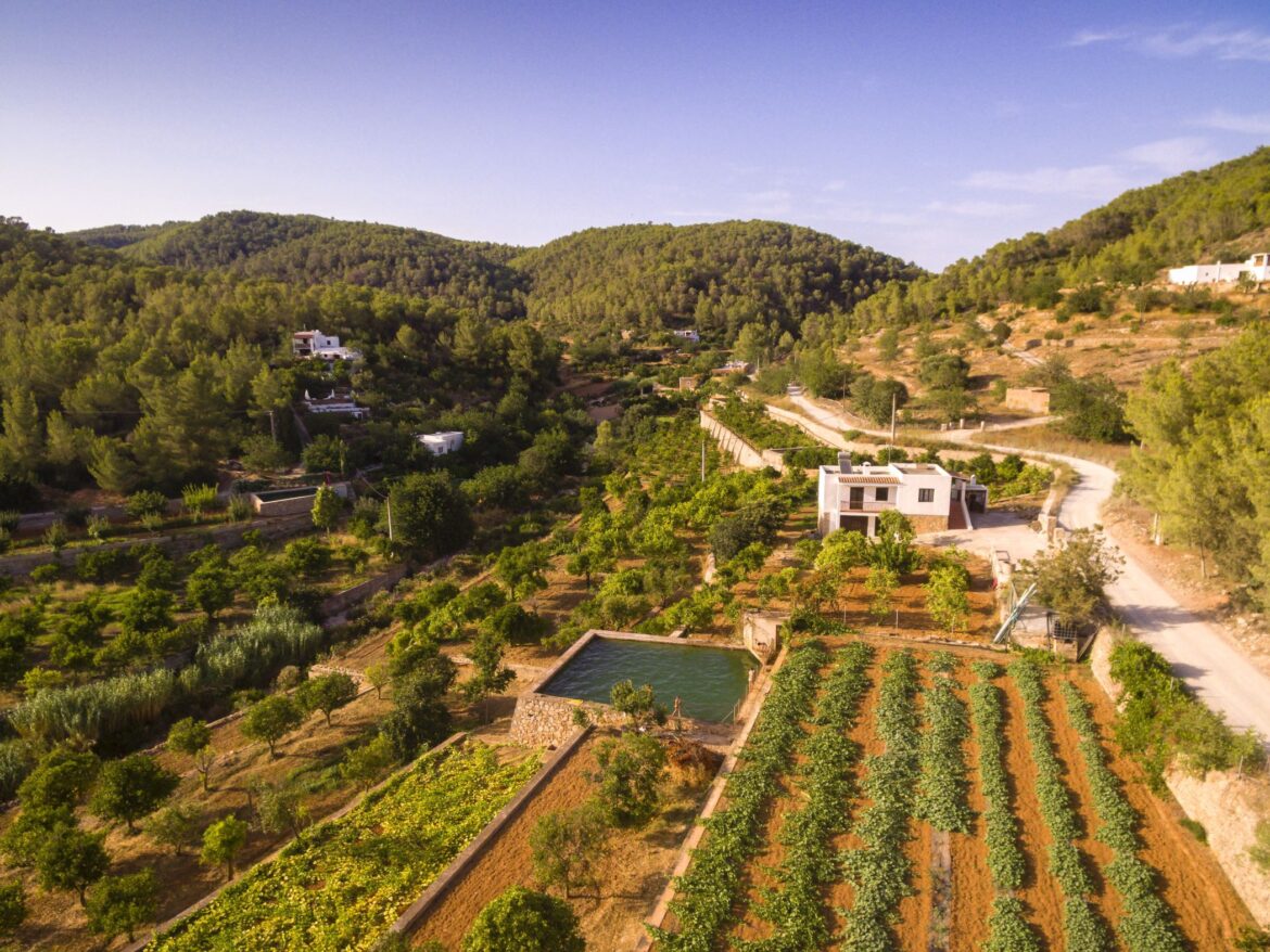 Huertos en Broll de Buscastell, Ibiza