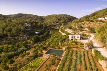 Huertos en Broll de Buscastell, Ibiza