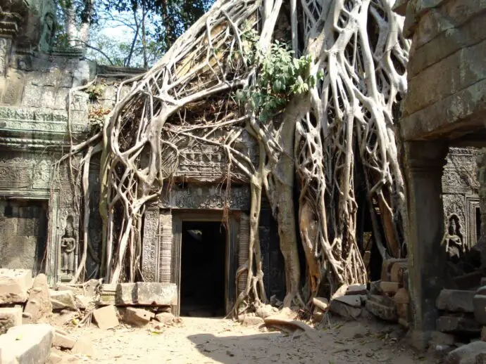 Ta Phrom at Angkor Wat in Cambodia