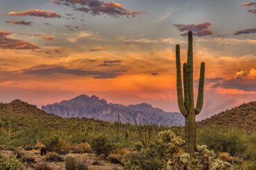Sonoran Desert near Phoenix in Arizona