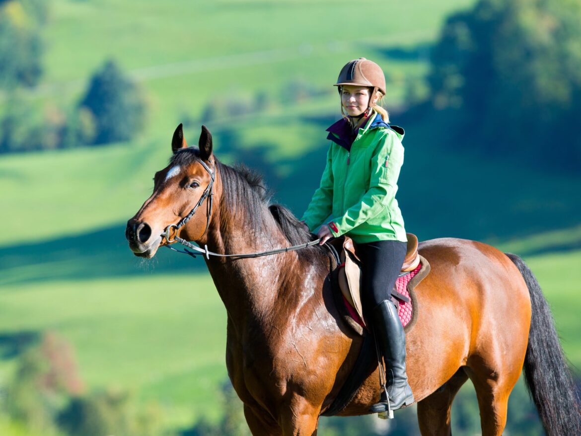 Horse riding girl