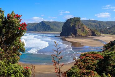 Piha Beach on New Zealand's North Island