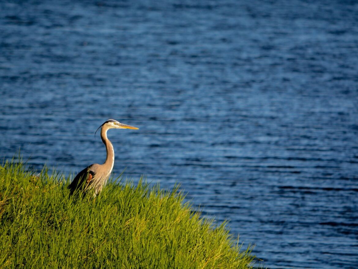 Lake Okeechobee in Florida