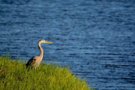 Lake Okeechobee in Florida