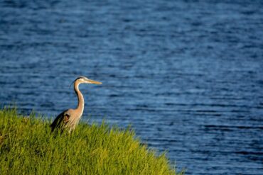 Lake Okeechobee in Florida