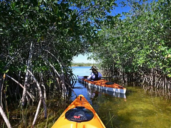 Kayaking in Florida