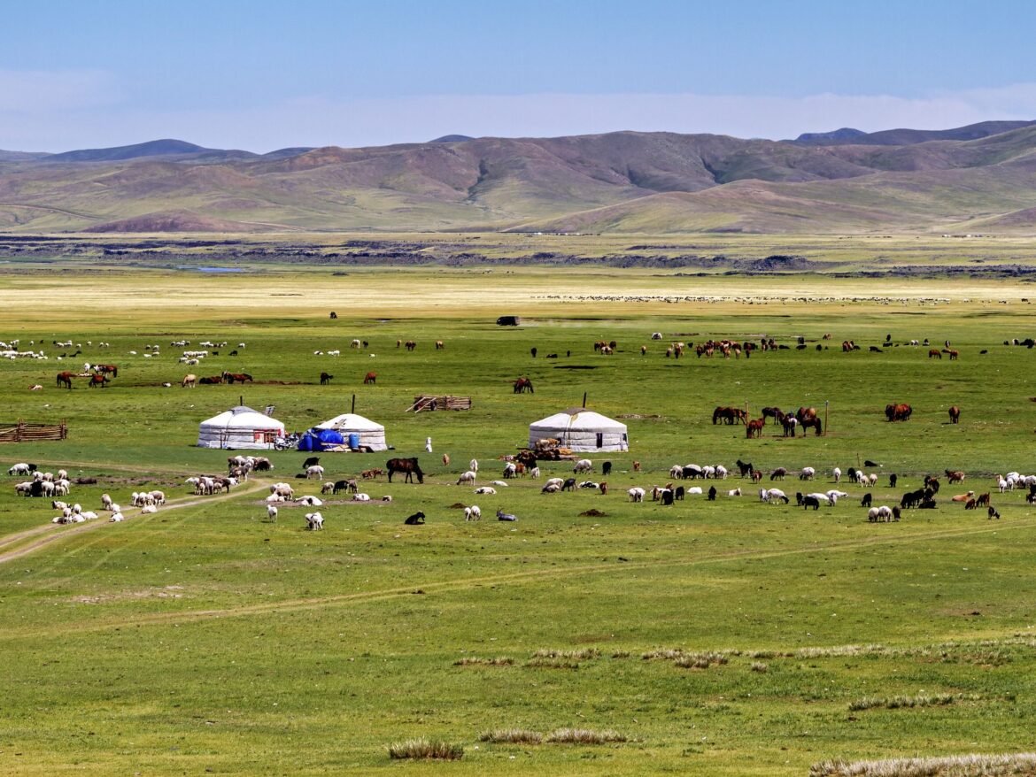 Yurts on a grassland plain in Mongolia