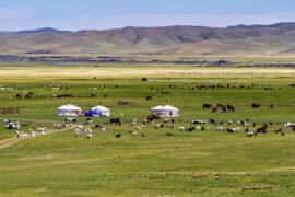 Yurts on a grassland plain in Mongolia