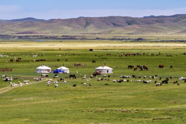 Yurts on a grassland plain in Mongolia