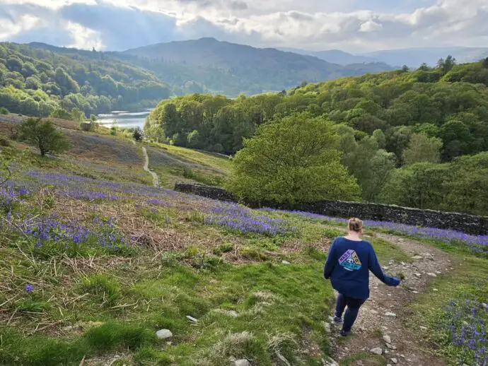 Best places to see bluebells in the Lake District - Loughrigg Terrace