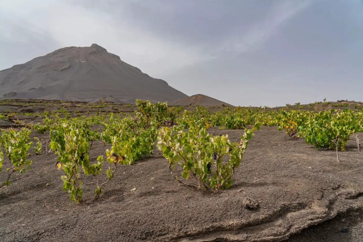 Fogo island in Cape Verde - lava fields