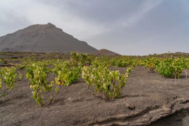 Fogo island in Cape Verde - lava fields