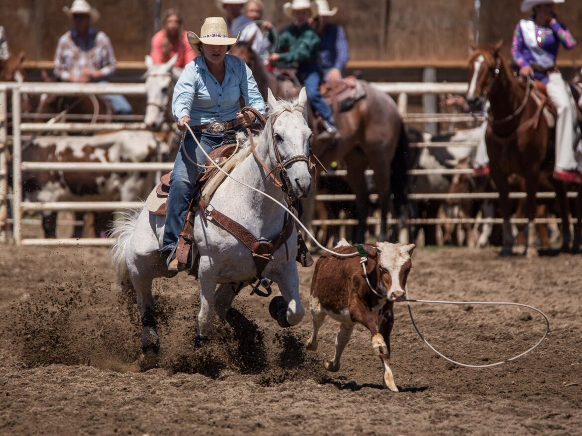 Rodeo rider