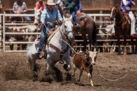 Rodeo rider