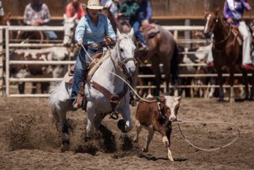 Rodeo rider